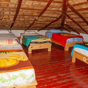  Hostel La Ballena Backpacker